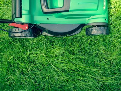 lawn-care-master-franchise-with-profitable-mowing-run-included-1