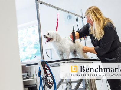work-with-wagging-tails-own-a-popular-pet-grooming-salon-today-0