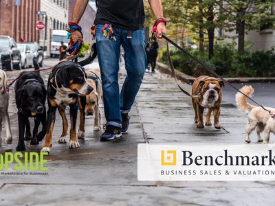 dog-walking-business-for-sale-sydney-0