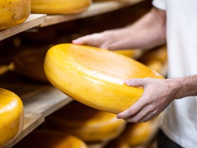 multi-award-winning-cheese-producer-amp-modern-regional-cafe-1