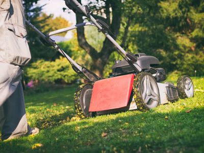 lawn-care-master-franchise-with-profitable-mowing-run-included-0
