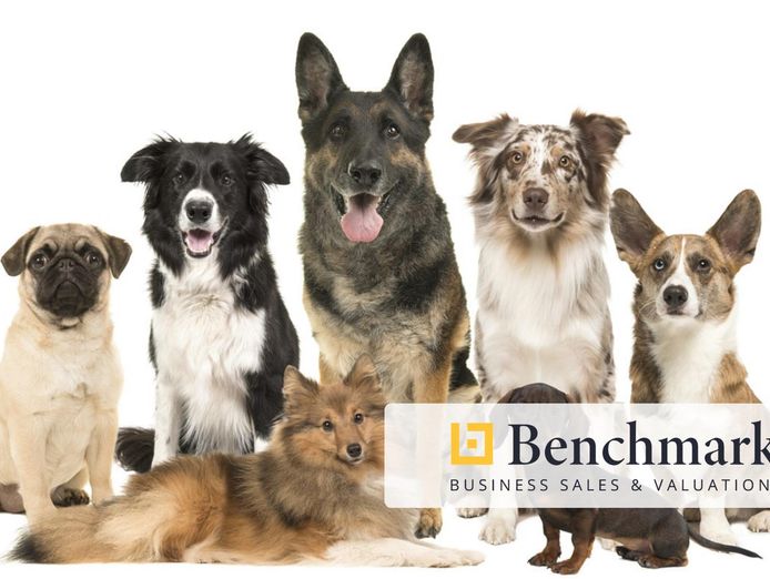 successful-pet-supply-business-and-freehold-for-sale-victoria-0