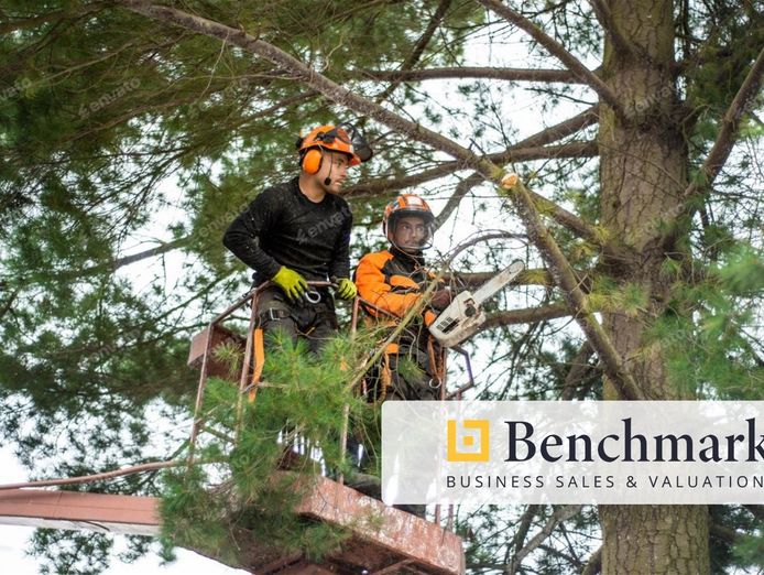 tier-1-qaa-arborist-contractor-seq-council-0