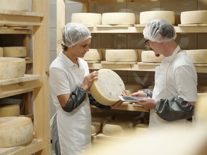 multi-award-winning-cheese-producer-amp-modern-regional-cafe-0