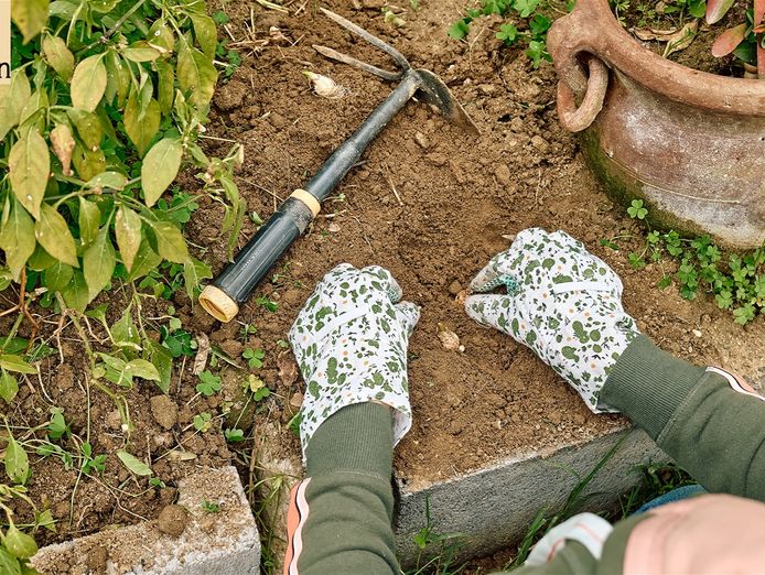 weeding-women-established-business-with-a-substantial-client-base-0