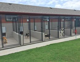Pet Resort, Boarding Kennels business for sale with a Property SR1454