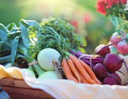 Fruit & Veg delivery business (Organic) - RW1433