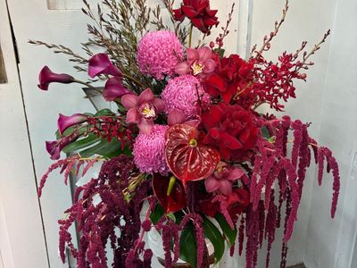 oakleighs-iconic-florist-nursery-business-for-sale-sv1585-4