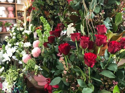 oakleighs-iconic-florist-nursery-business-for-sale-sv1585-4