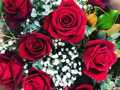 oakleighs-iconic-florist-nursery-business-for-sale-sv1585-2