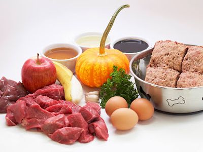 fresh-pet-food-amp-retail-shop-dandenong-mw1504-1