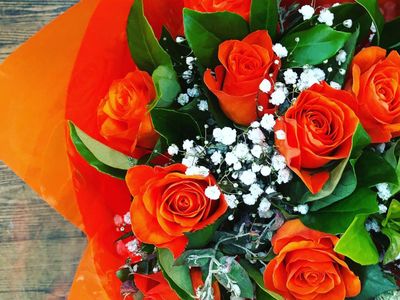 oakleighs-iconic-florist-nursery-business-for-sale-sv1585-0