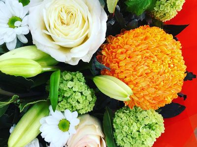 oakleighs-iconic-florist-nursery-business-for-sale-sv1585-1