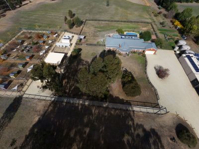 pet-boarding-kennels-business-for-sale-with-a-lifestyle-property-sp1518-1