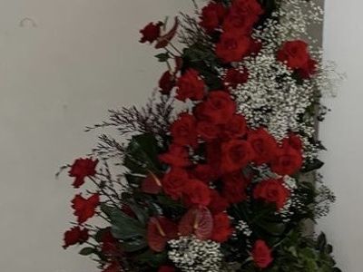 oakleighs-iconic-florist-nursery-business-for-sale-sv1585-1