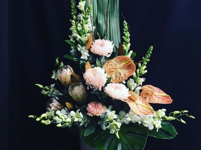 oakleighs-iconic-florist-nursery-business-for-sale-sv1585-4