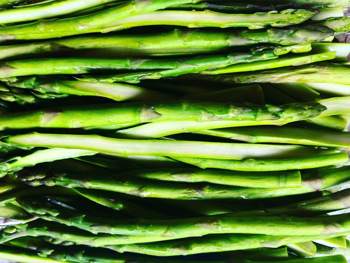 highly-profitable-gourmet-food-business-pf1568-3