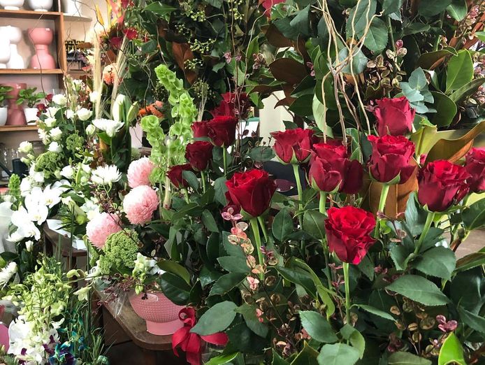 oakleighs-iconic-florist-nursery-business-for-sale-sv1585-4