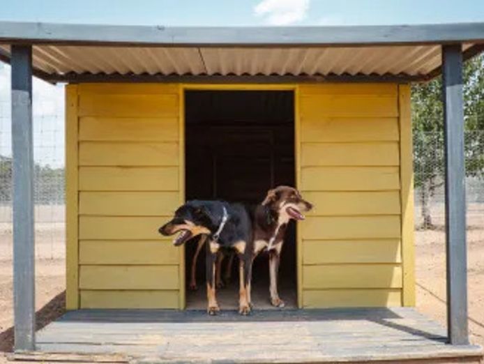 pet-boarding-kennels-business-for-sale-with-a-lifestyle-property-sp1518-2