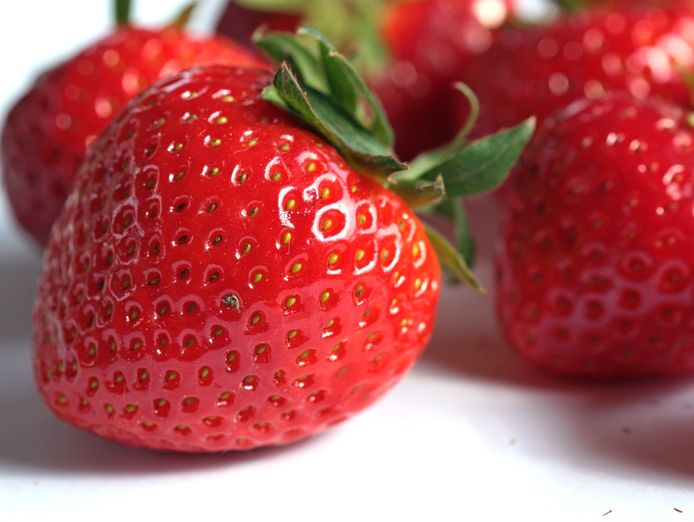 premium-gelato-ice-cream-business-for-sale-sv1561-4