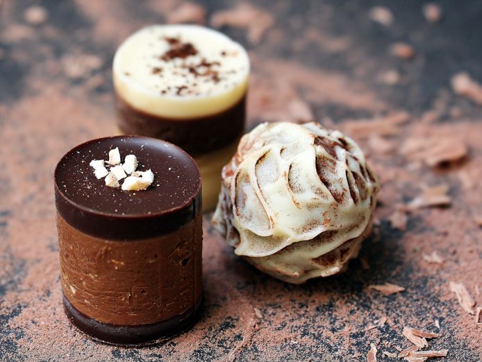 chocolate-shop-cafe-amp-online-gifting-business-sv1601-2