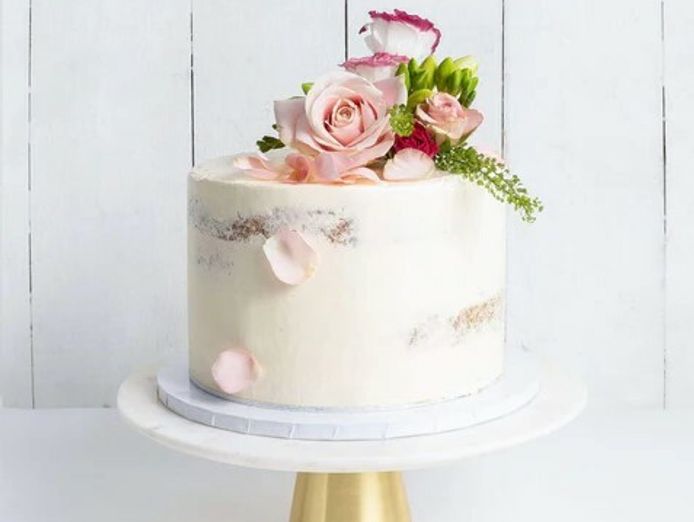 cake-decorating-supplies-amp-cake-making-business-sj1437-3