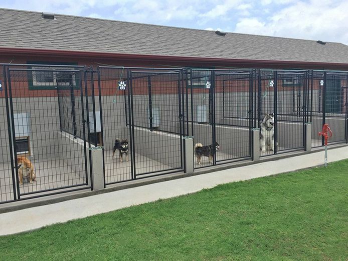 under-contract-pet-resort-boarding-kennels-business-for-sale-with-a-property-s-1