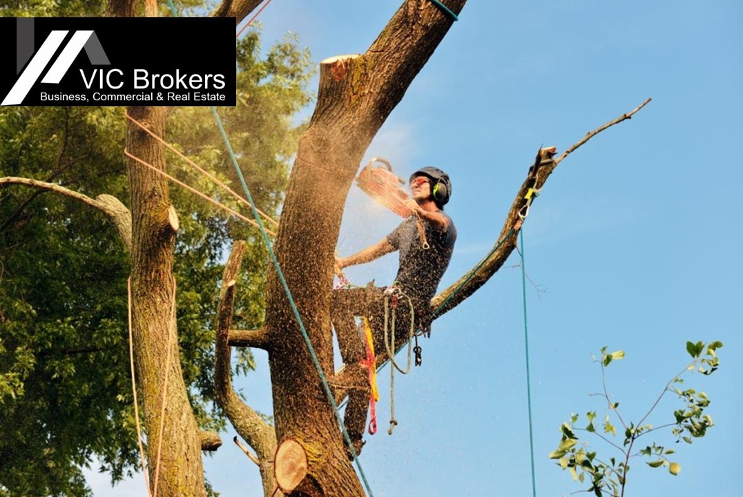 Arborist & Tree Management Business SJ1345 in Melbourne VIC, 3004