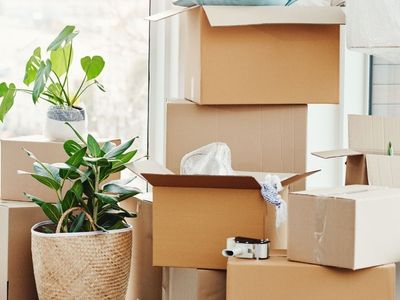 northern-beaches-cleaning-business-walk-in-and-take-over-fully-set-up-9