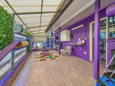 sold-freehold-pet-resort-7