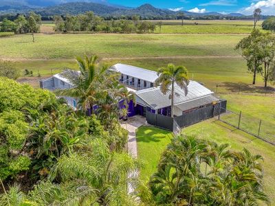 sold-freehold-pet-resort-8