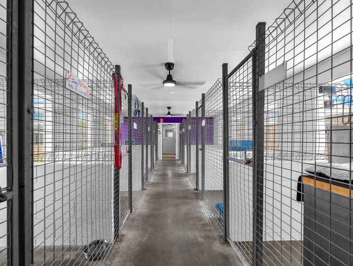 sold-freehold-pet-resort-6