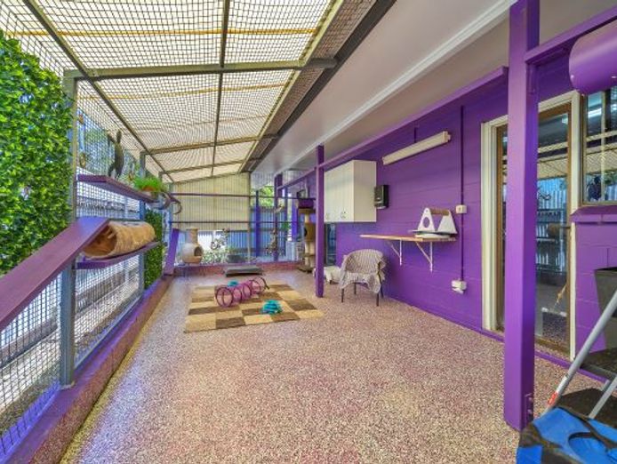 sold-freehold-pet-resort-7