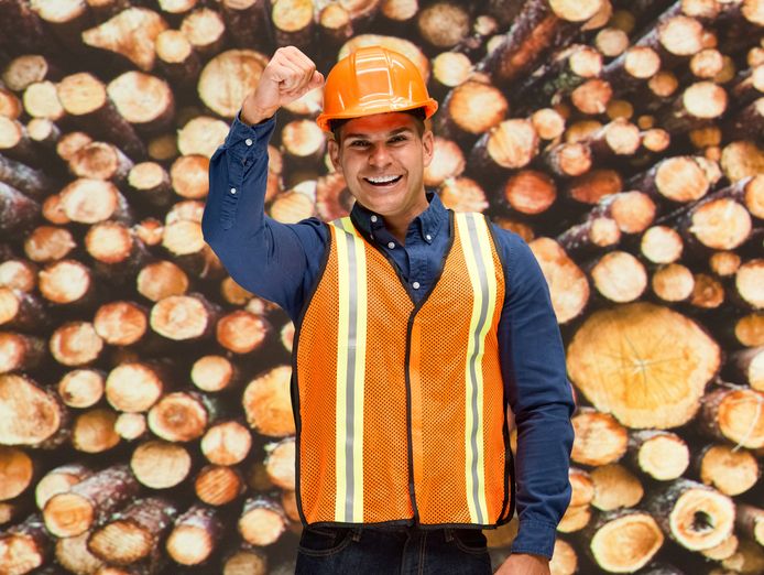 turnkey-tree-business-150k-net-0