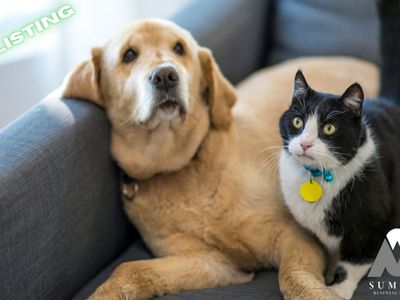 all-animal-minding-service-prime-business-opportunity-in-canberra-1