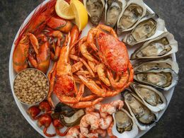 Premium Seafood Processing Facility