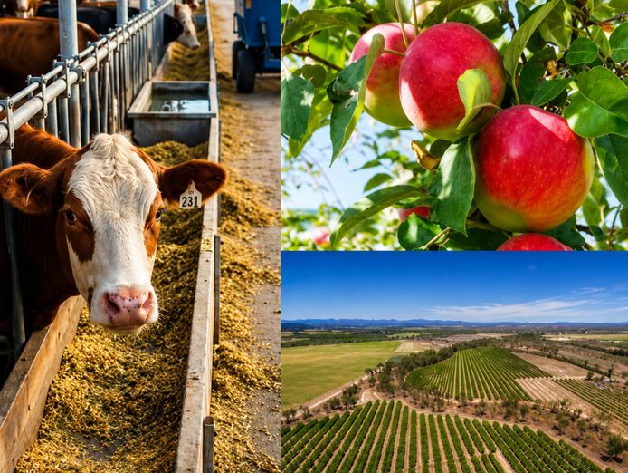 agricultural-focused-infrastructure-products-installation-business-0