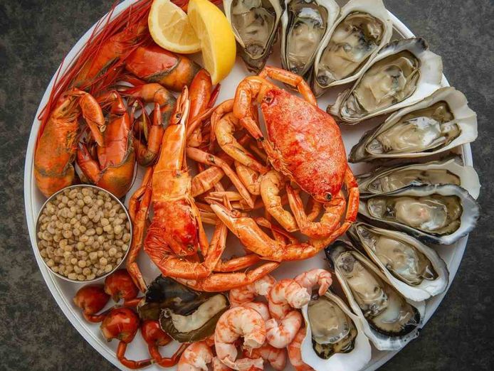 premium-seafood-processing-facility-0