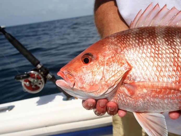 online-fishing-supplies-business-0