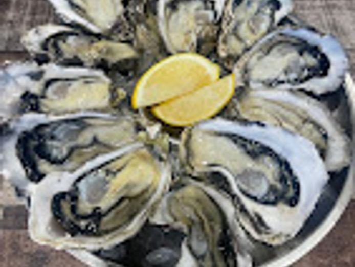 gold-coast-premium-seafood-restaurant-for-sale-600-000-stock-0