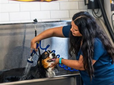 car-wash-business-for-sale-prime-location-near-pakenham-2