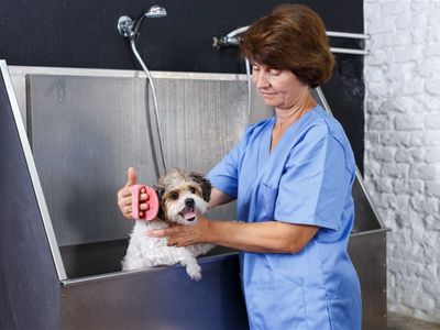 high-tech-automated-car-wash-in-vic-for-sale-1