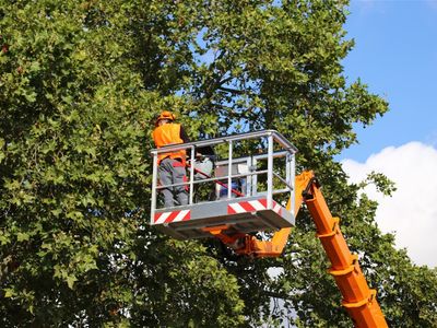 profitable-construction-service-biz-for-sale-se-melbourne-1