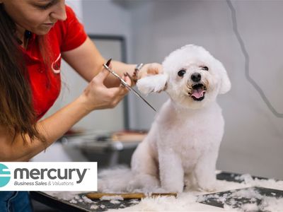 long-established-dog-grooming-business-prime-area-0