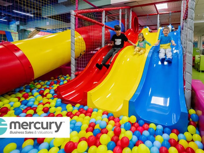 well-established-indoor-play-centre-0