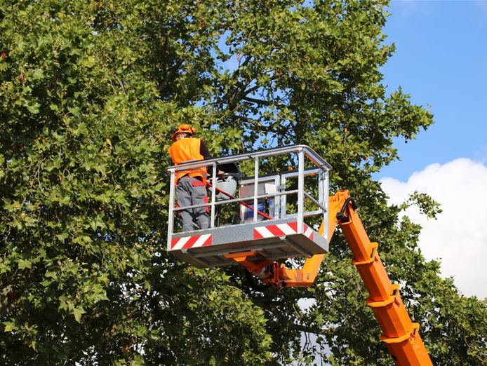 profitable-construction-service-biz-for-sale-se-melbourne-1