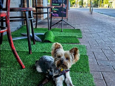 modern-restaurant-in-prime-perth-location-with-low-rent-0