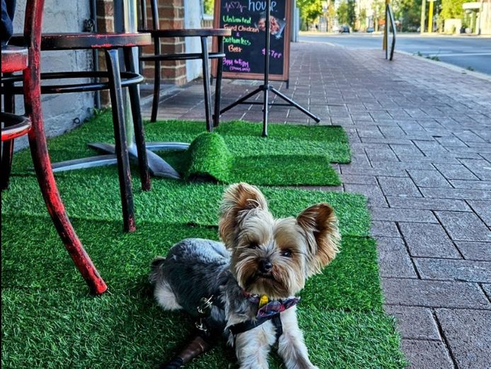 modern-restaurant-in-prime-perth-location-with-low-rent-0