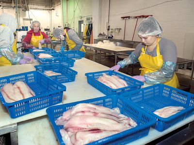 manufacture-of-seafood-products-award-winning-6