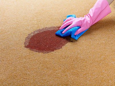 carpet-cleaning-commercial-and-domestic-4